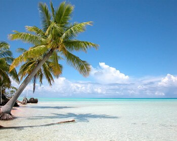 Cook Island Honeymoons Quote Request